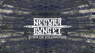 Negura Bunget  - Suier de solomonar (live at Rock 'N Iasi 1999)