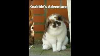 Knabble's Adventure