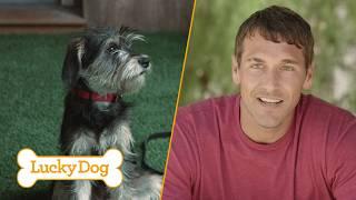 Camping with a Hyper Schnauzer Changed Everything (Full Episode) | Lucky Dog