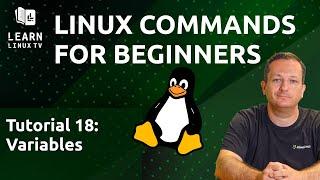 Linux Commands for Beginners 18 - Variables