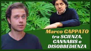 Disobbedienza civile e Cannabis. Ne parliamo con Marco Cappato