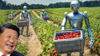 China Applies AI and Robots to Agriculture, Creating a New Revolution in Farming