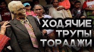 ХОДЯЧИЕ ТРУПЫ ТОРАДЖИ [Шокирующая реальность #73]