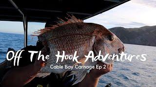 Cable Bay Carnage // Off the Hook Adventures