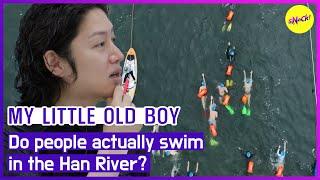 [MY LITTLE OLD BOY]Do people actually swim in the Han River? (ENGSUB)