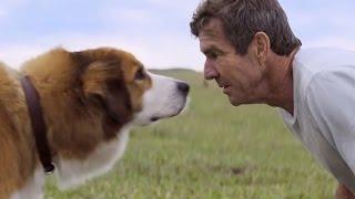 Собачья жизнь/Цель и жизнь собаки(A Dog's Purpose) 2017 - Русский трейлер