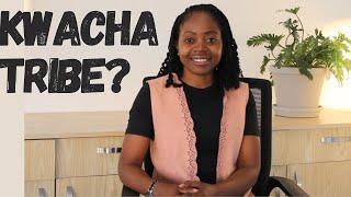 Investing in Kwacha Tribe? What is Kwacha Tribe?