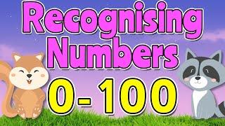 Recognising RANDOM Numbers 0-100  Learn to Read & Write Numbers to 100 | Miss Ellis 
