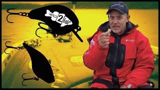 4 Surefire Baits for Fall Bass Fishing | Scott Suggs