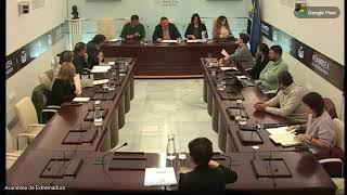 Comisión subtitulada de Presidencia, Interior y Diálogo Social 16/12/2024