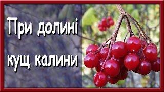 Українські пісні онлайн. При долині кущ калини