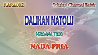 DALIHAN NATOLU ll PERDANA TRIO ll KARAOKE BATAK ll NADA PRIA AS=DO