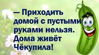 Муж, после многочасовой игры в танчики, заходит на кухню / Анекдоты от Смешарика