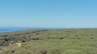 PINAR DE LA BREÑA Y MARISMAS DE BARBATE