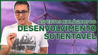 Sustentabilidade e Desenvolvimento Sustentável no ENEM | Prof. Paulo Jubilut