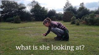 What's the point in foraging - UK  Nomads out and about