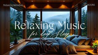 Goodbye Stress and Insomnia to Sleep Instantly With Rain Sounds, Music Helps You Sleep Comfortably