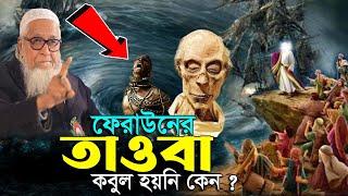 ফেরাউনের শেষ পরিনতি | মুসা নবী ও ফেরাউনের কাহিনী | আল্লামা লুৎফুর রহমান ওয়াজ lutfur rahman waz 2024