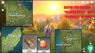 [Genshin Impact] All Sunsettia and Cuihua Wood Location - Best Farm location (44 Trees total)