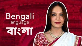 About the Bengali language