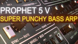 Super Punchy Bass ARP in Arturia Prophet 5 V | Sound Design Tutorial