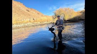 Sierra Bright Dot Fly Fishing Guide Service's Fred Rowe delivers this week's Report for 12/6-12