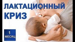 Лактационный криз - нехватка молока новорожденному 1 месяц жизни