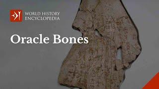 Oracle Bones of the Ancient Chinese Shang Dynasty