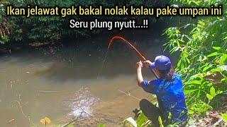 MANCING IKAN JELAWAT BATU PAKAI UMPAN INI GACOR SEKALI..!!