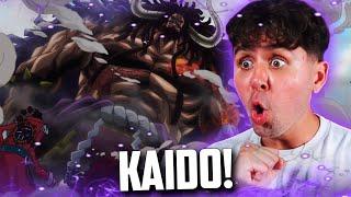 EMPEROR KAIDO DROPS IN!! | One Piece Episode 739 And 740 REACTION!