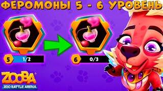 КАЧНУЛИ ФЕРОМОНЫ С 5 НА 6 ЛВЛ!!! КАПИБАРА КУИНН MIDAS MERGE В ИГРЕ ZOOBA