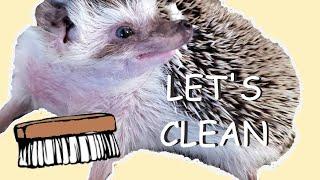 Cleaning my Hedgehog's Cage