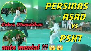 Tendangan Mematikan Pencak Silat !!!  - PERSINAS ASAD vs PSHT