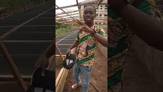 I want to promote snail farming in Ghana