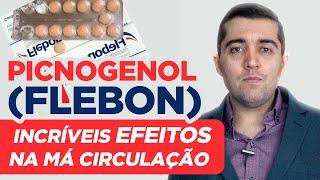 Picnogenol / Flebon: efeito potente na má circulação, veia entupida por coágulo sanguíneo e trombose