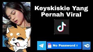 Keyskiskie Yang Pernah Viral Di Tiktok | Stickman Warriors