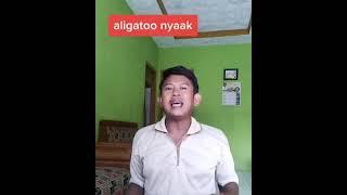 aligatoo nyak si iksan lagi nyuci nyuci nyuci