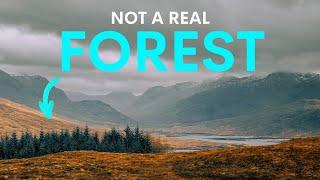 The Dark Truth of Scotland's Forests