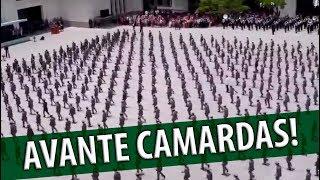 Avante Camaradas