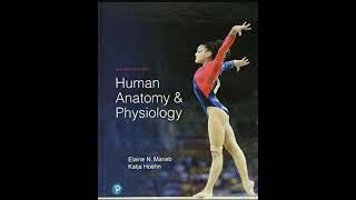 Human Anatomy & Physiology 11th Edition Marieb and Hoehn PDF