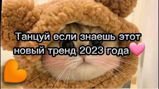 Танцуй если знаешь этот тренд 2023 | Лучшие Тренды ТикТока 