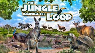 Zoo Tours: The Jungle Loop | Nashville Zoo