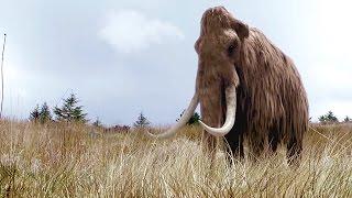 DOKU: Wiedergeburt des Mammuts - DNA ermöglicht Erzeugung eines Klons | Dokumentation 2015 Deutsch