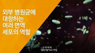 외부 병원균에 대항하는 여러 면역세포의 역할 - (20121229_442회 방송)_겨울철 여성 건강주의보 - 3편 면역질환