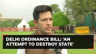 Delhi Ordinance Bill: An attempt to destroy state, says Raghav Chadha