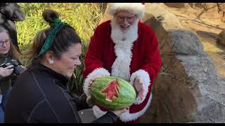 Santa Brings Gifts to the Animals - Cincinnati Zoo