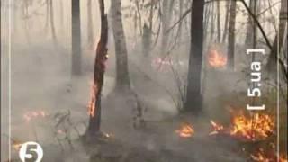 Пожежі в Росії майже дісталися Москви