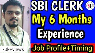 SBI CLERK | My 6 Months Experience | Job Profile | Timing | Worklife Balance | Success Pathway