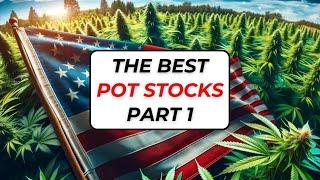 Investing in Cannabis Stocks - Part One (reviewing pot stocks, which weed stocks are the best?)