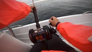 Fishing in Norway. Lange. Рыбалка в Норвегии. Мольва или морская щука.